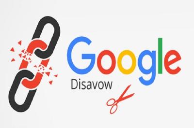 disavow چیست