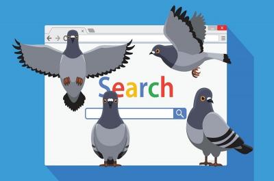 الگوریتم کبوتر گوگل
